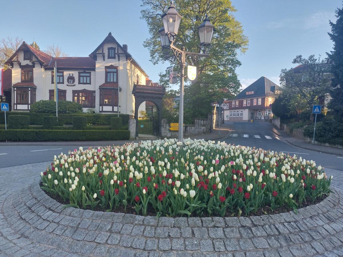 Ferienwohnung Sweety Haus Sachsensteinblick Bad Sachsa Bagian luar foto